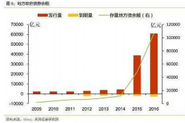 支付宝催收资料：全面解析应对策略