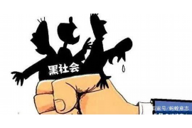 芦淞要钱公司排名：揭秘芦淞区金融领域的佼佼者