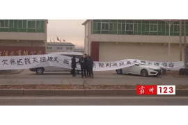 蒲江要债公司：专业高效的债务追收服务