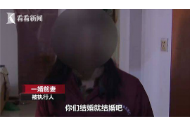 /img/879.png/img/879.png洛阳哪家律师讨债成功率高？揭秘讨债律师选择技巧/img/879.png